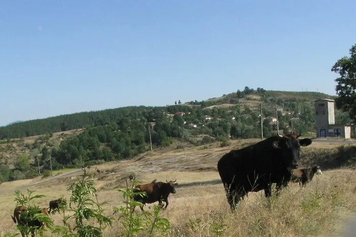 България дискриминира чуждестранните купувачи на земя, смята Еврокомисията