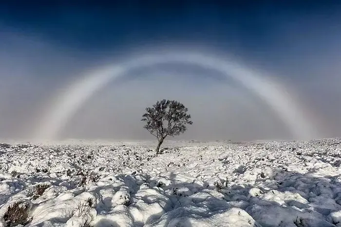 Виждали ли сте бяла дъга? (СНИМКИ)