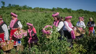 Държавата ще раздаде малко пари на регистрираните розопроизводители