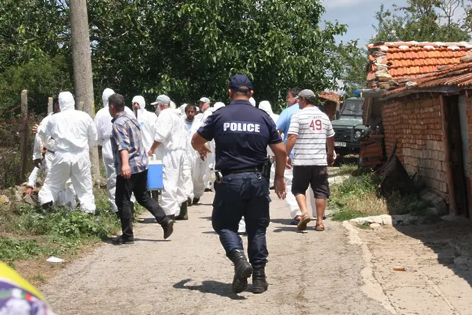 Съдът отказа да спре заповедта за избиването на животни в Странджанско