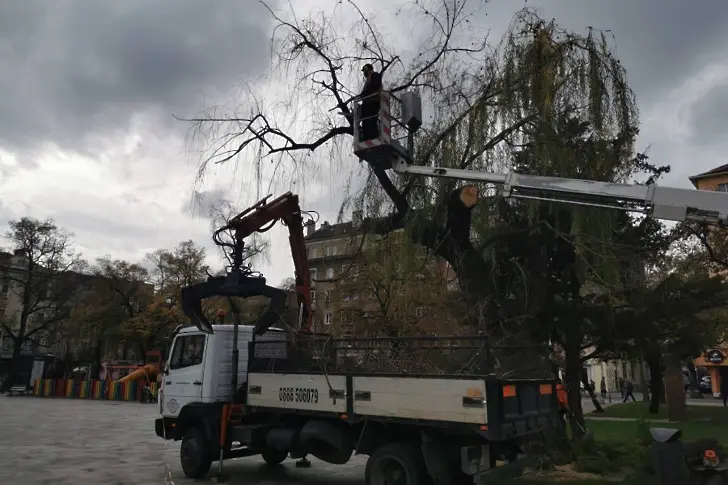 Шумът на върбите...пред 