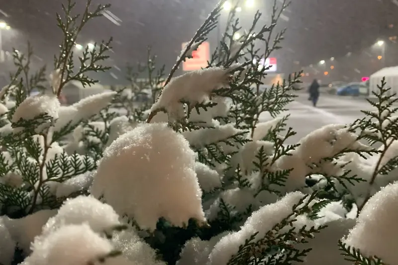 Температурите падат под -15 градуса в следващите дни