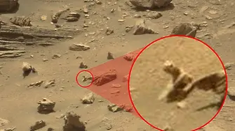 Роувърът Curiosity засне камък като гущер на Марс