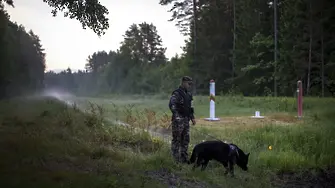 ЕК праща емисари в Литва заради мигранти от Беларус