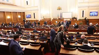 Тишината в парламента ражда безумия