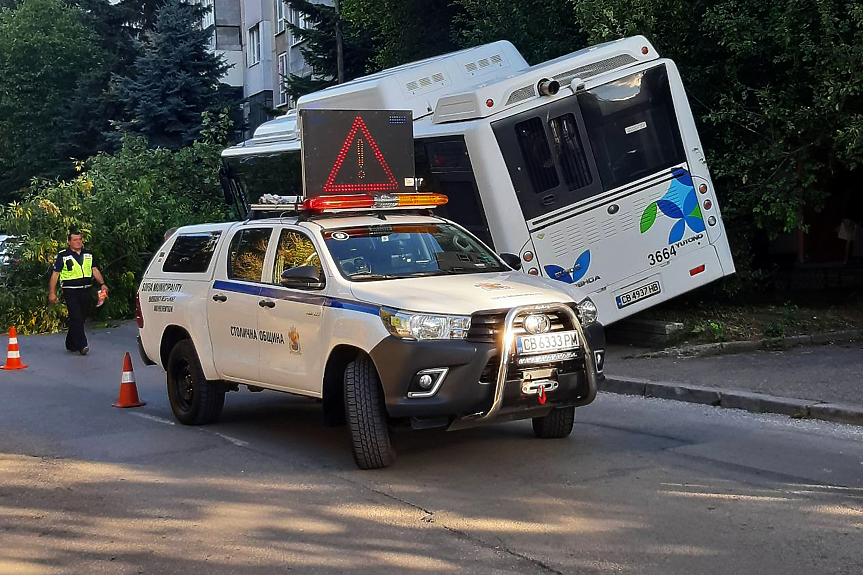 Градски автобус се заби в дърво в 