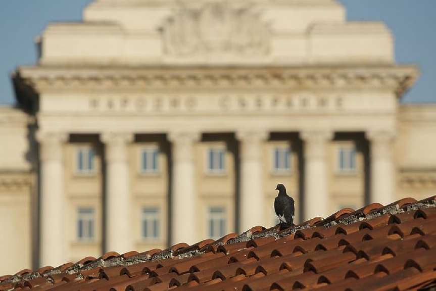 Лъжи и нападки от всички посоки. А България търпи ли, търпи