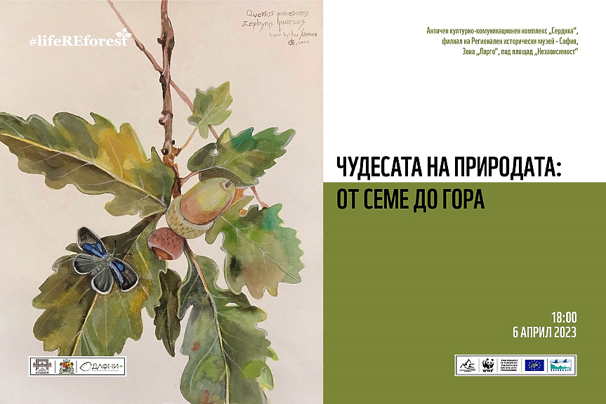 WWF ви кани на изложбата „Чудесата на природата: от семе до гора“