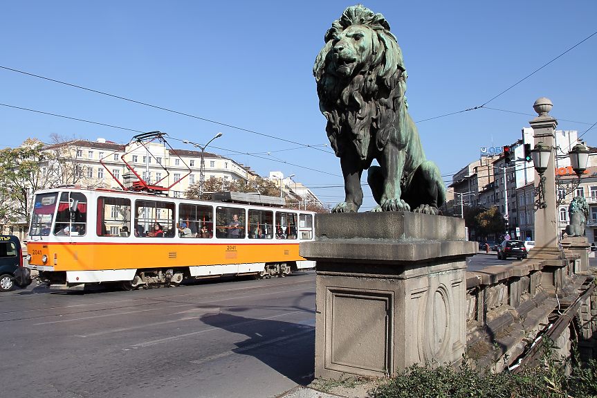 В София, към 9,30 ч.: зебрите вече тичат