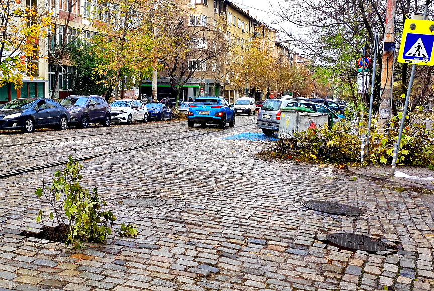 Борбата с падналите дървета, клони, лампи и дупки в София продължава (СНИМКИ)