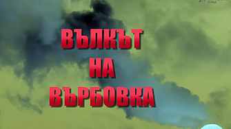 АКФ пита: Защо властите подкрепят най-големия инсинератор за боклуци на Вълка?